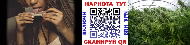 Купить наркотики сайты Иннополис А ПВП Экстази Кокаин МАРИХУАНА