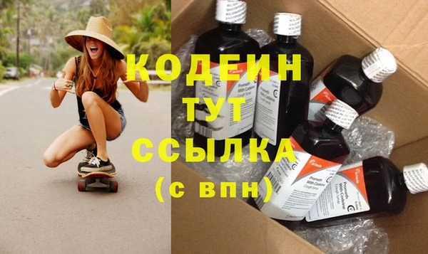 индика Бугульма