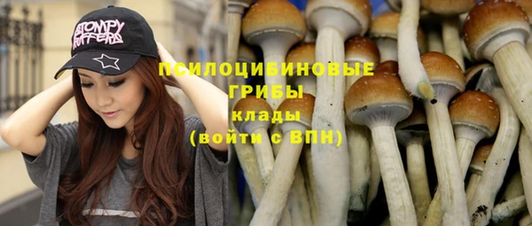 тгк Верхний Тагил